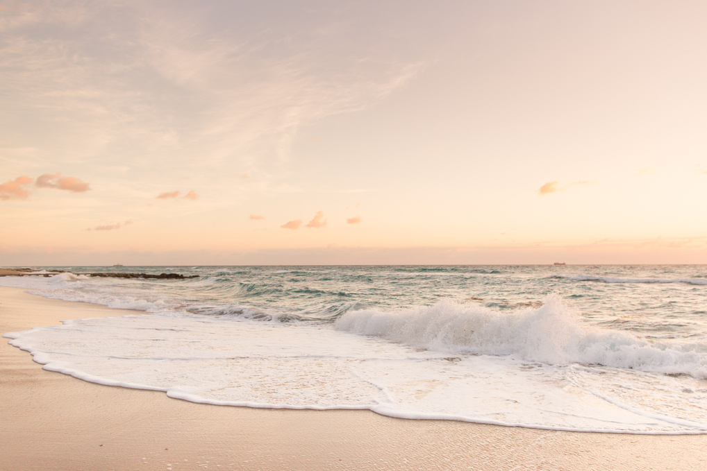 Peaceful Palm Beach Shoreline at Sunrise