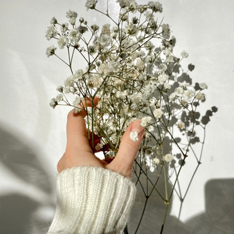 Aesthetic dry white flowers in hand