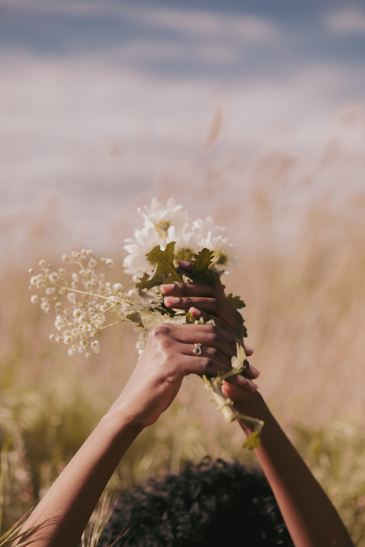 Female Hands Holding Flowers in the Field